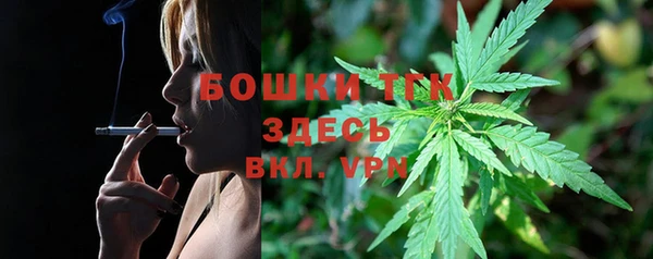 герыч Пересвет