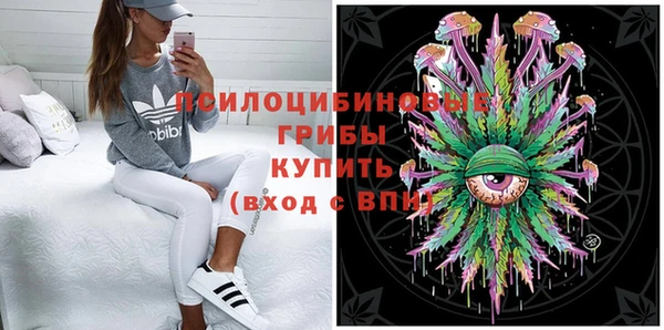 герыч Пересвет