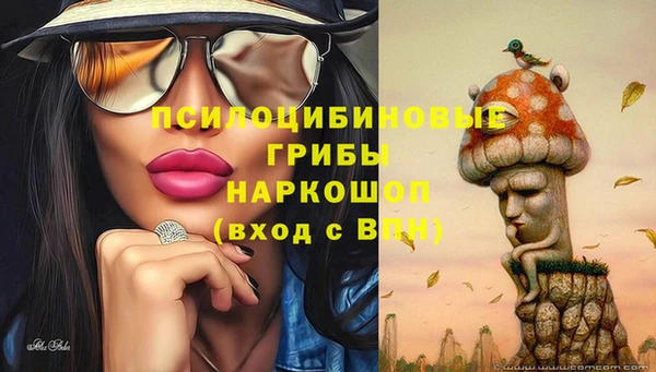 ECSTASY Пестово