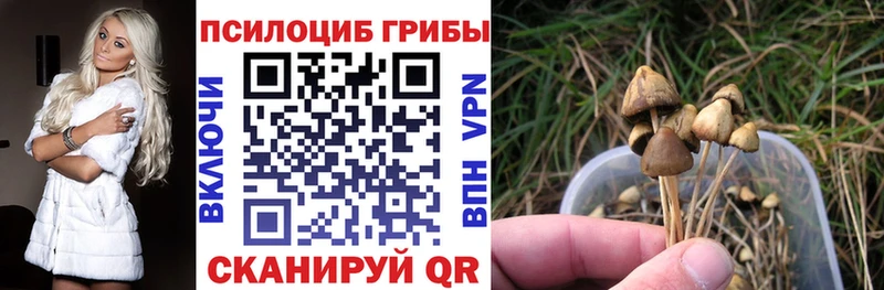 Галлюциногенные грибы GOLDEN TEACHER  Игра 